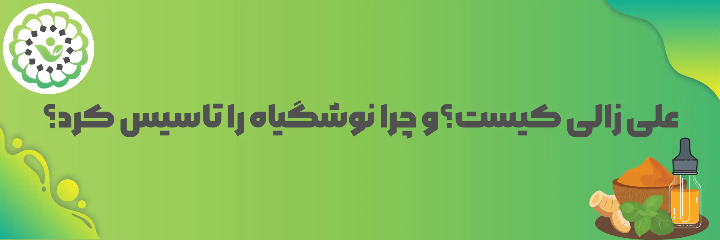 علی زالی